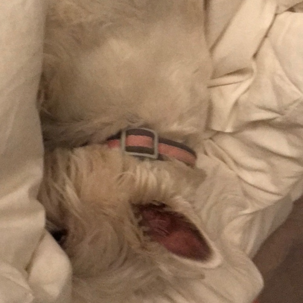 Meet your Posher, Kim